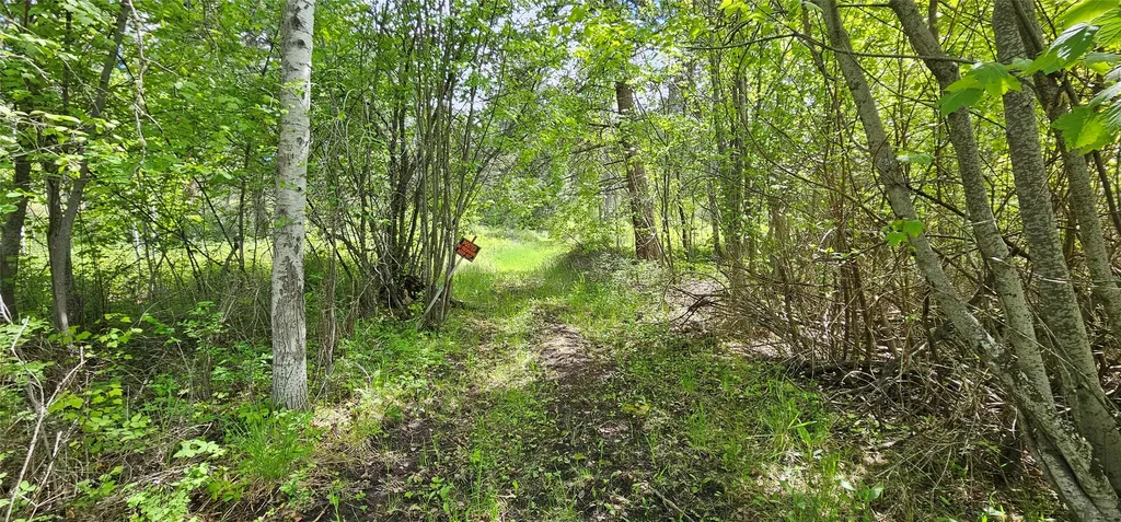 39784 Us Highway 93 Polson MT 59860