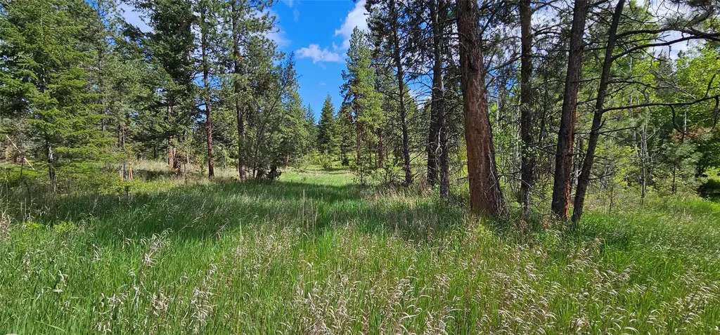 39784 Us Highway 93 Polson MT 59860