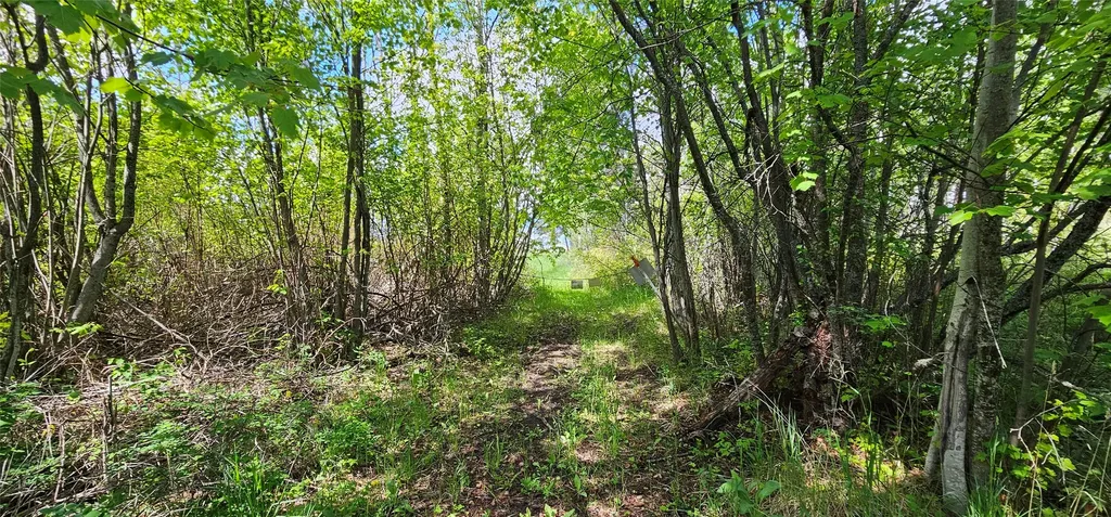 39784 Us Highway 93 Polson MT 59860