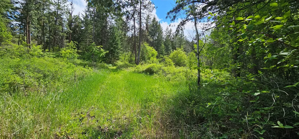 39784 Us Highway 93 Polson MT 59860