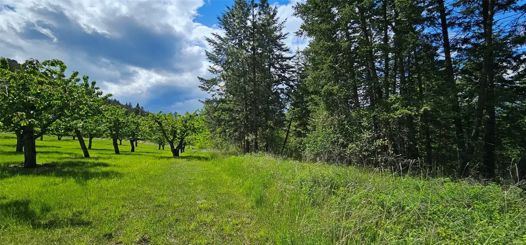39784 Us Highway 93 Polson MT 59860