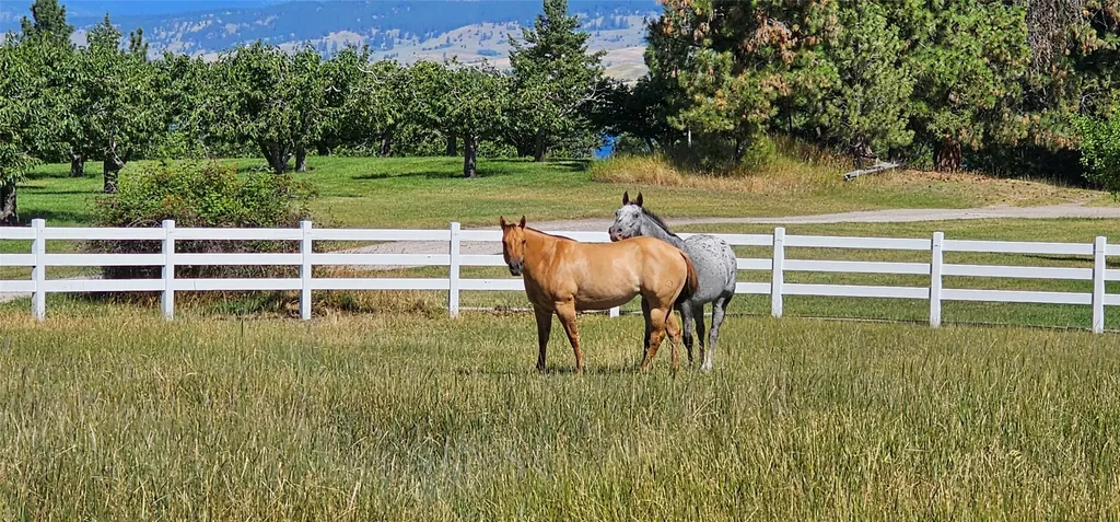 39784 Us Highway 93 Polson MT 59860