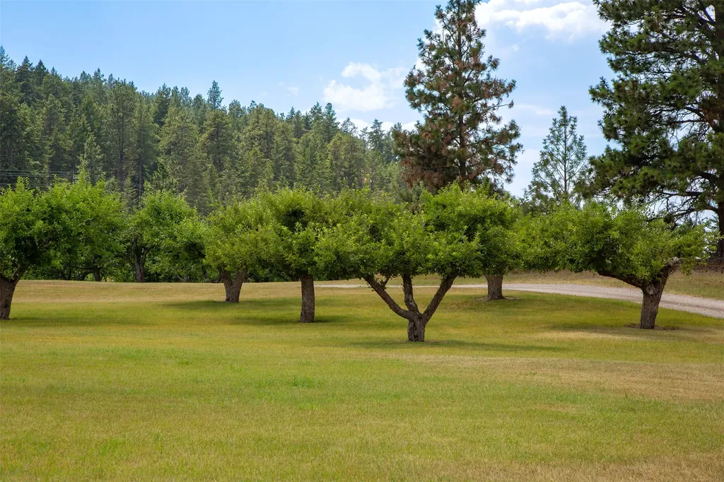 39784 Us Highway 93 Polson MT 59860