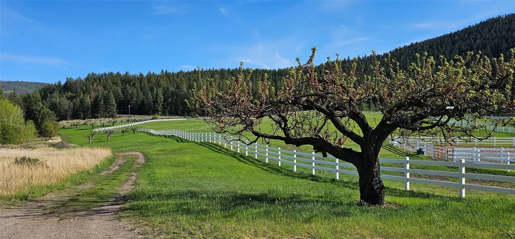 39784 Us Highway 93 Polson MT 59860