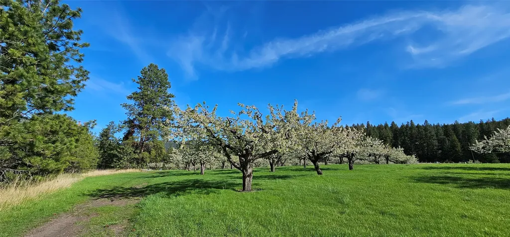 39784 Us Highway 93 Polson MT 59860