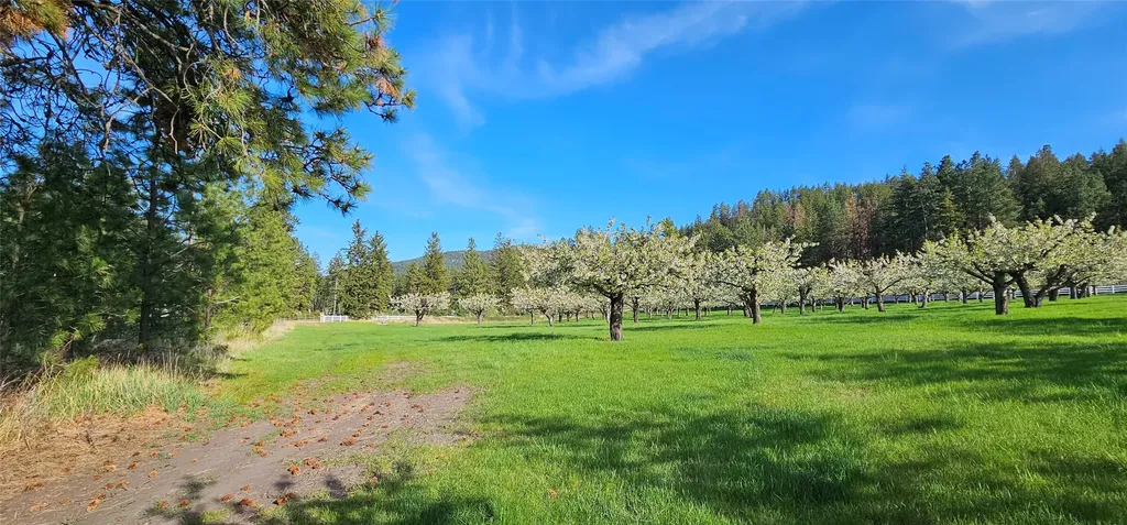 39784 Us Highway 93 Polson MT 59860
