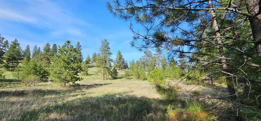 39784 Us Highway 93 Polson MT 59860