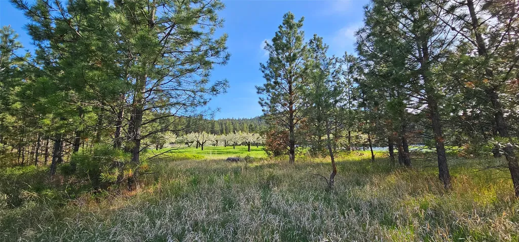 39784 Us Highway 93 Polson MT 59860