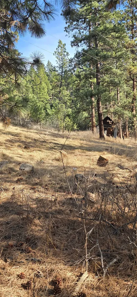 211 Warm Springs Creek Road Clancy MT 59634