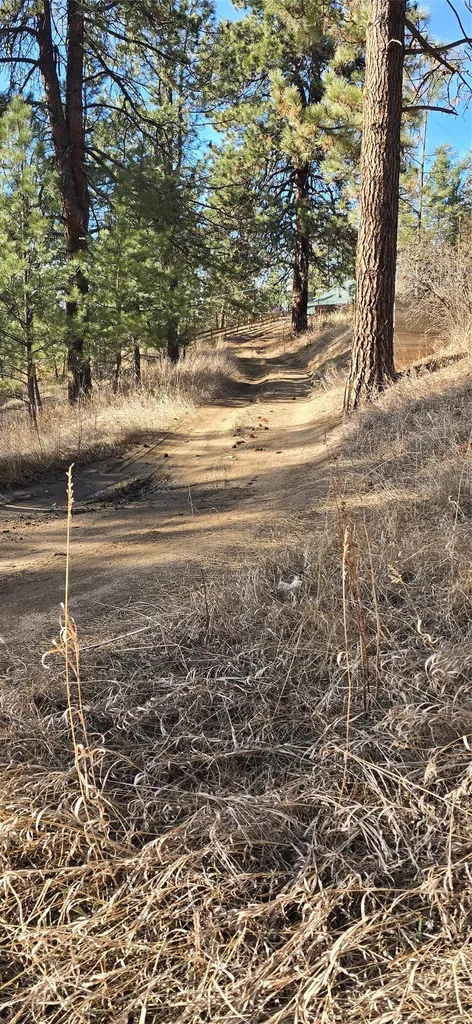 211 Warm Springs Creek Road Clancy MT 59634