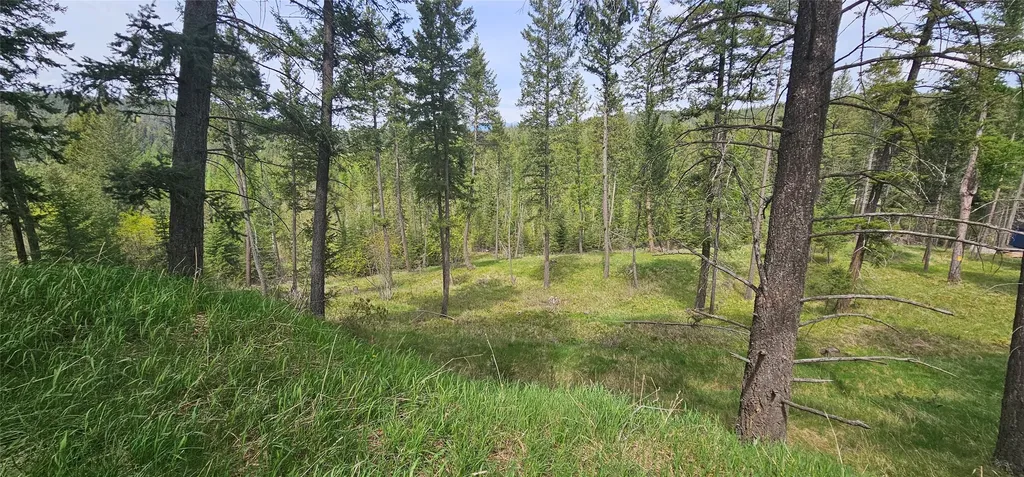 239 Stage Ridge Road Bigfork MT 59911
