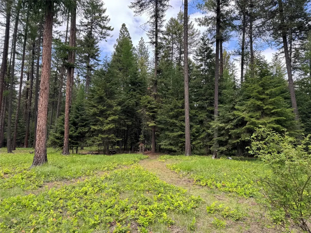 21 Country Club Lane Thompson Falls MT 59873