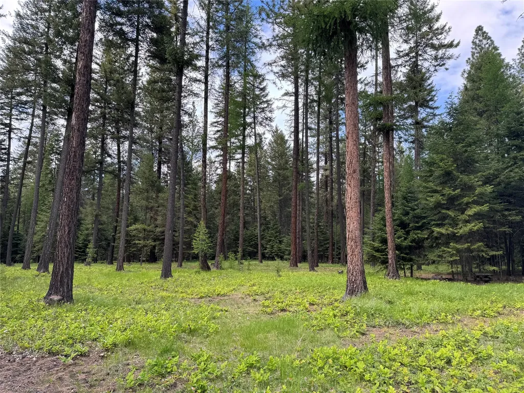21 Country Club Lane Thompson Falls MT 59873