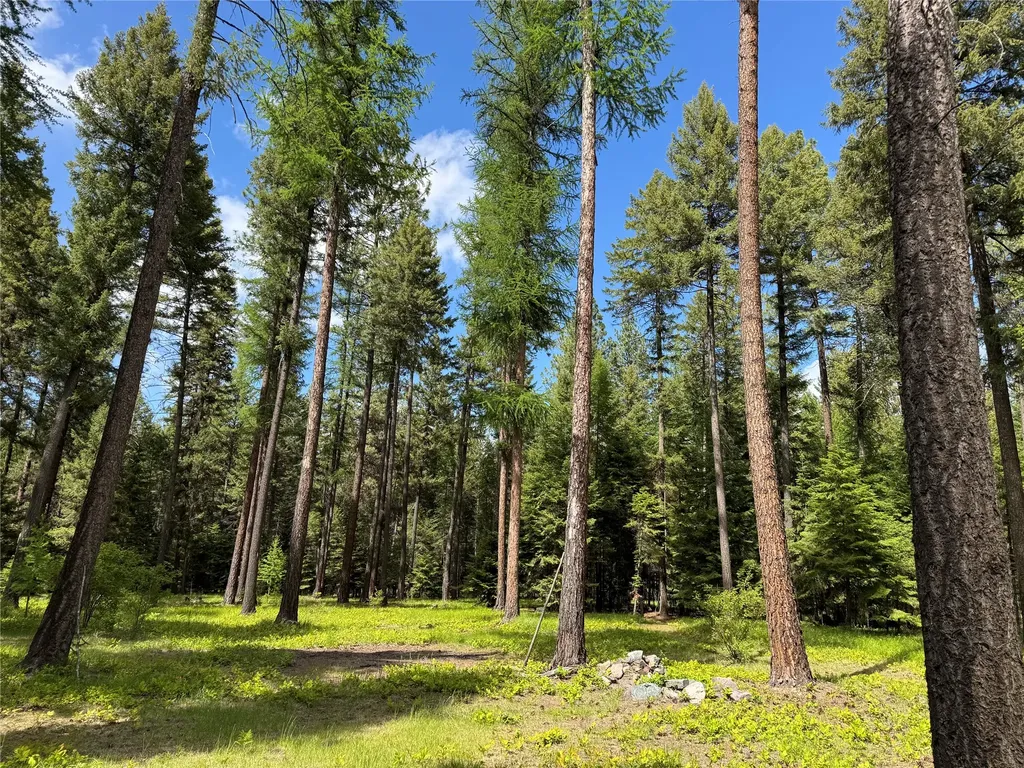 21 Country Club Lane Thompson Falls MT 59873