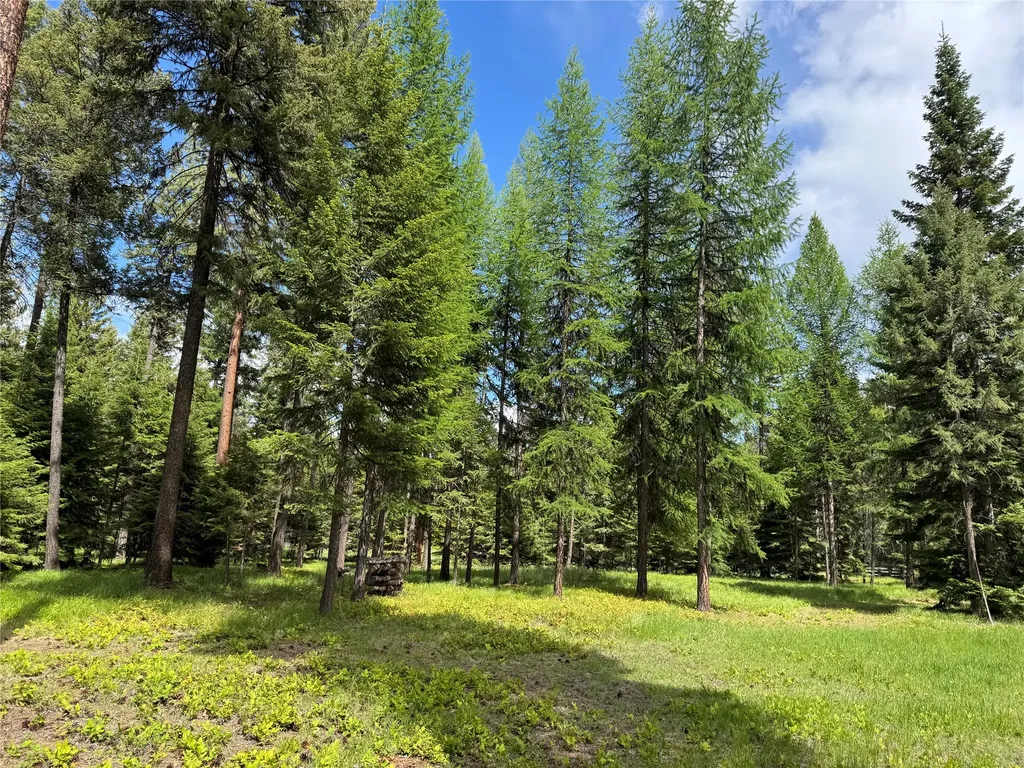 21 Country Club Lane Thompson Falls MT 59873
