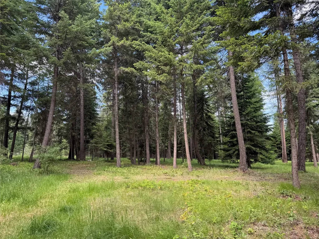 21 Country Club Lane Thompson Falls MT 59873