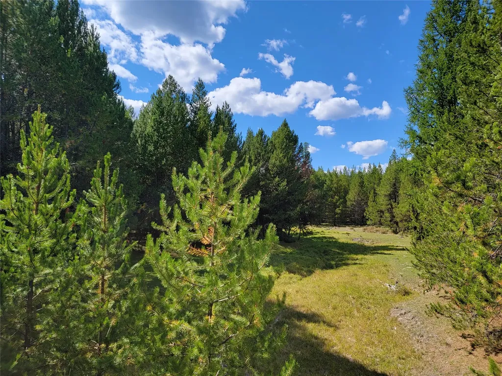 360 Discovery Loop Marion MT 59925