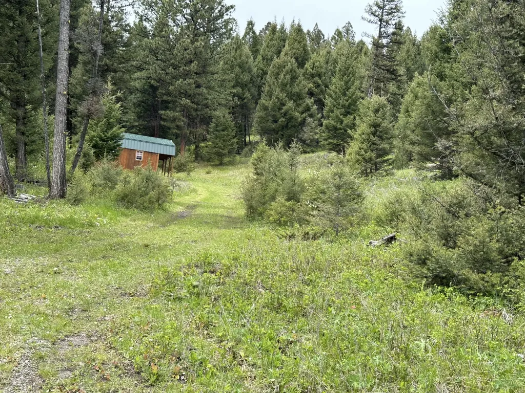 50 Juniper Ridge Lane Drummond MT 59832