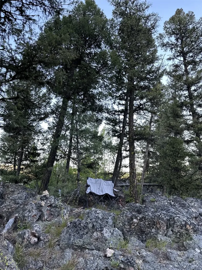 50 Juniper Ridge Lane Drummond MT 59832