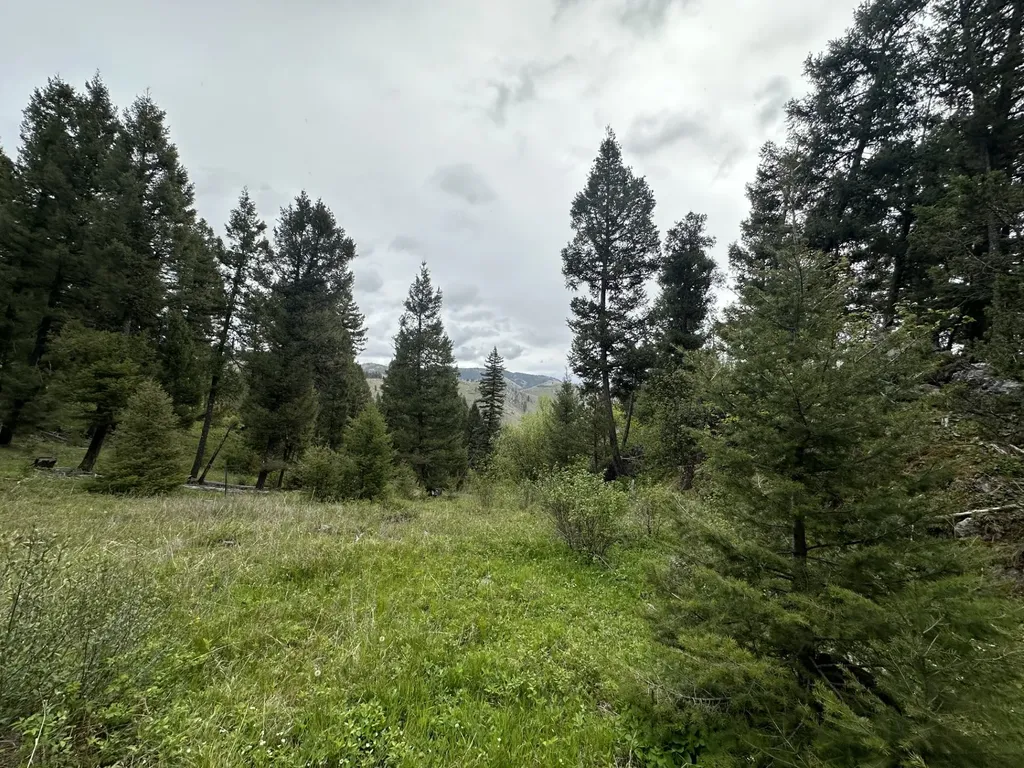 50 Juniper Ridge Lane Drummond MT 59832