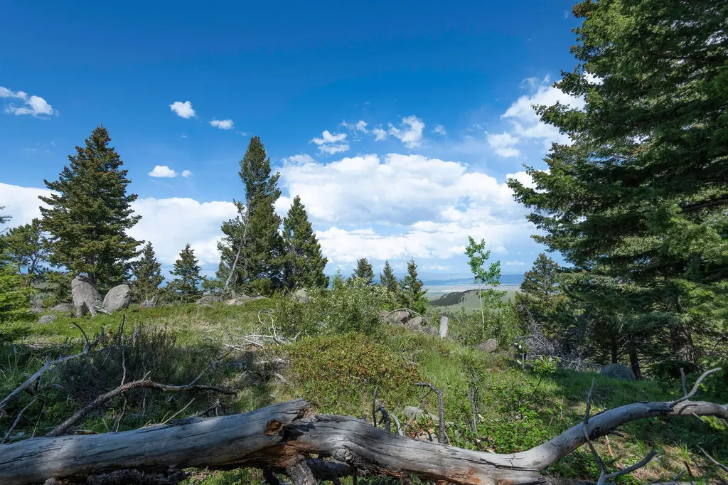 53 Skihi Peak Drive Clancy MT 59634