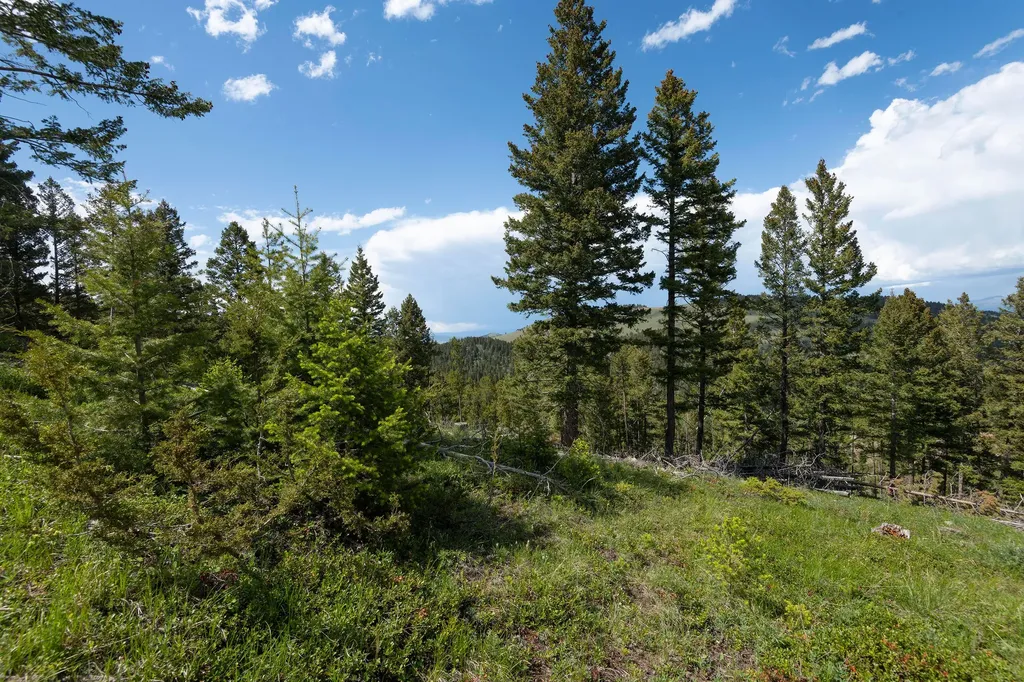 53 Skihi Peak Drive Clancy MT 59634