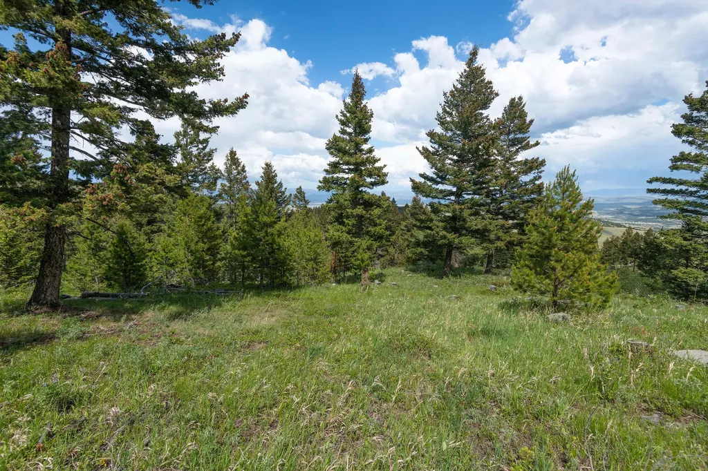 53 Skihi Peak Drive Clancy MT 59634