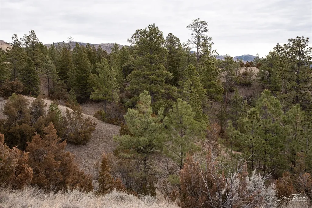 4075 Sunset Ridge Drive Helena MT 59602