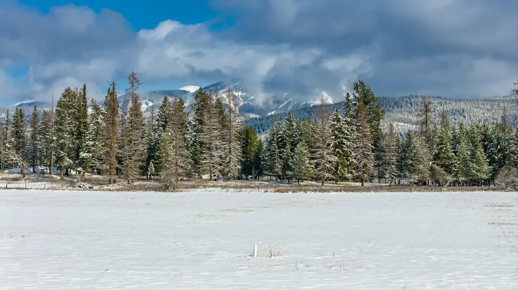 207 Wilhelm Way Whitefish MT 59937