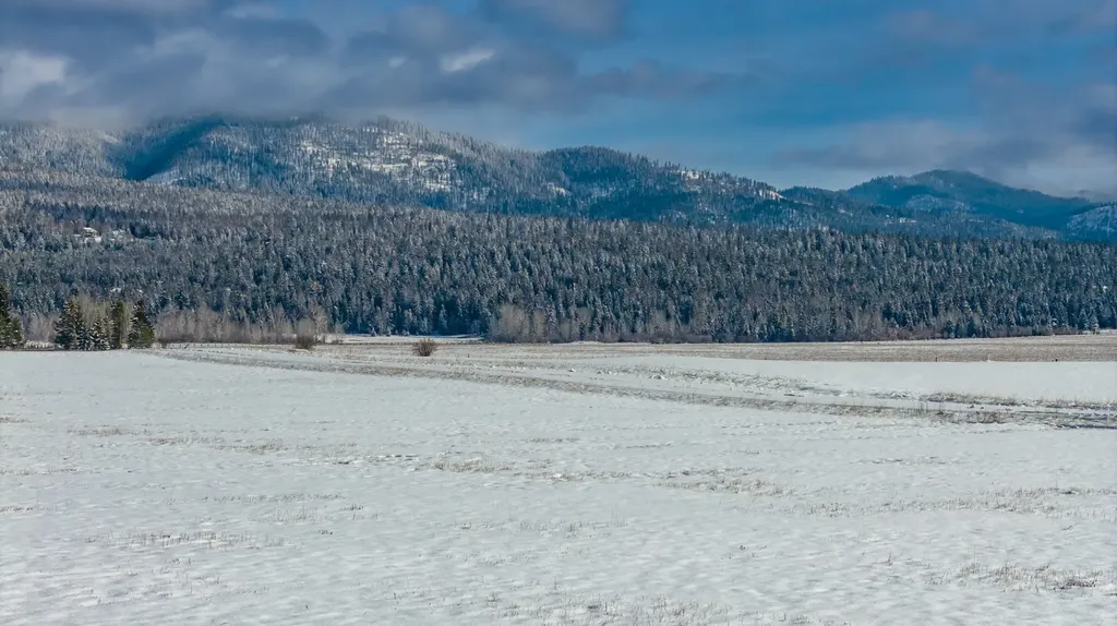 207 Wilhelm Way Whitefish MT 59937