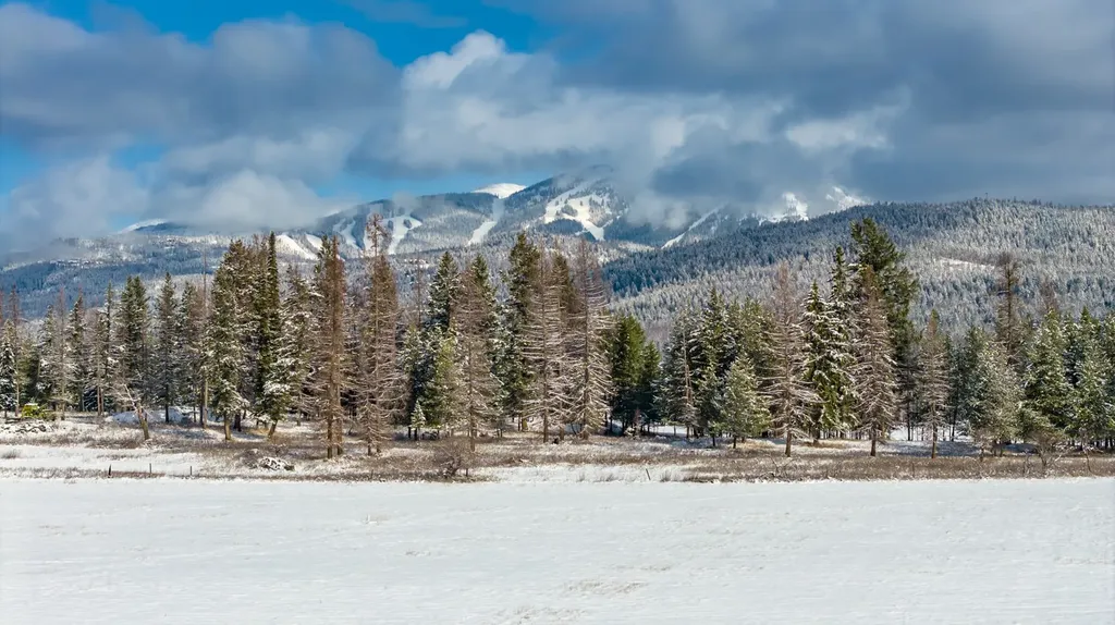 207 Wilhelm Way Whitefish MT 59937