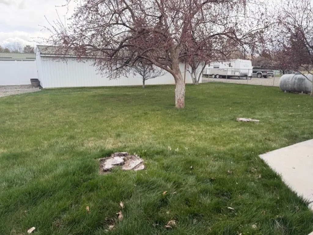 4289 N Montana Avenue Helena MT 59602