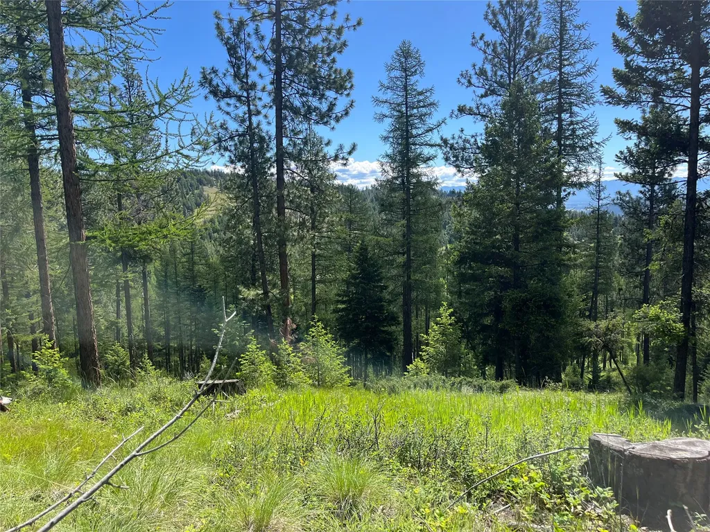 670 Triplett Road Kalispell MT 59901