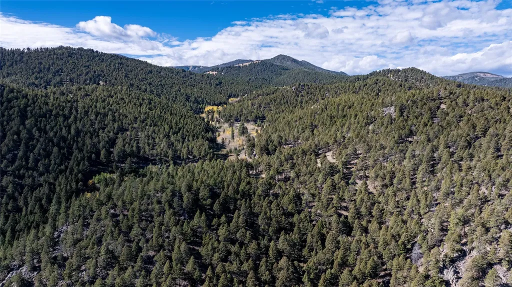 37 Quartz Creek Road Clancy MT 59634