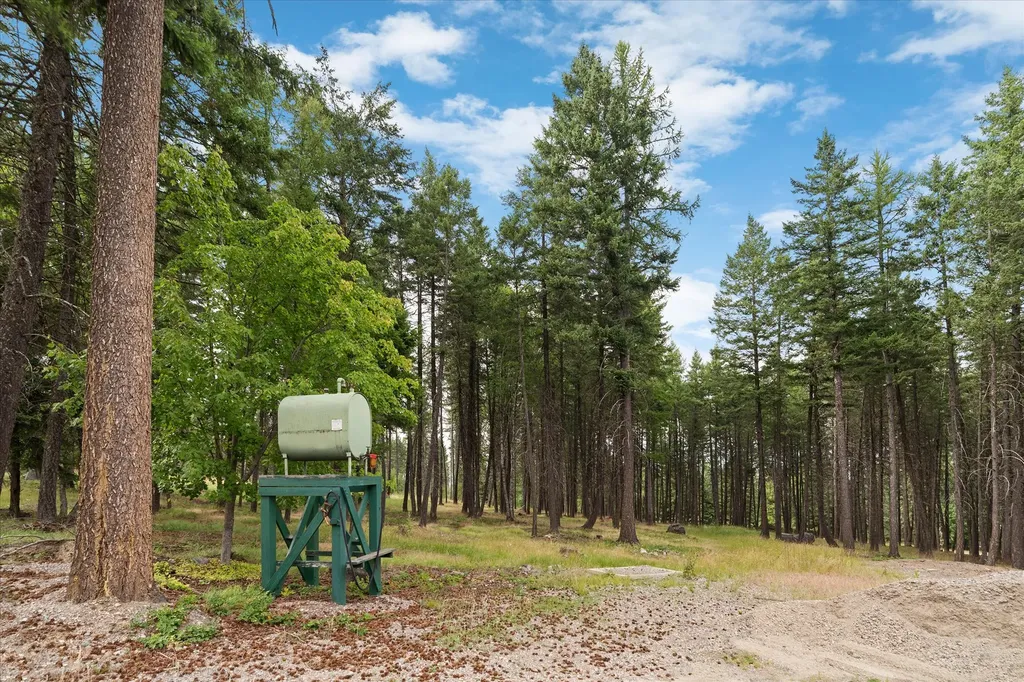 1146 Swan Hill Drive Bigfork MT 59911