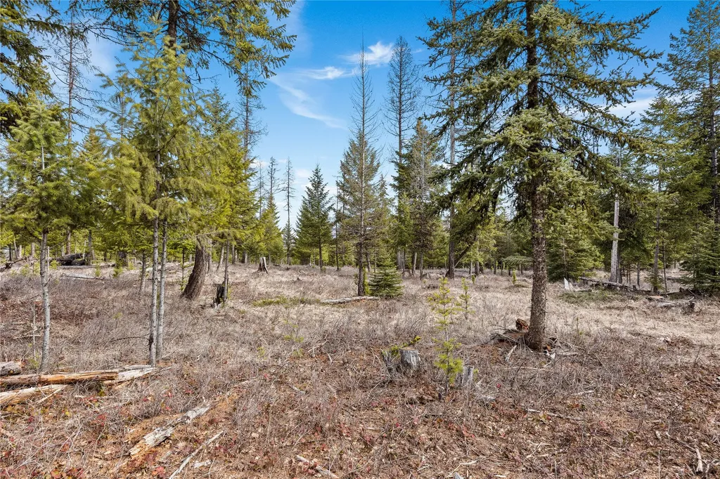 300 Burgess Road Trego MT 59934