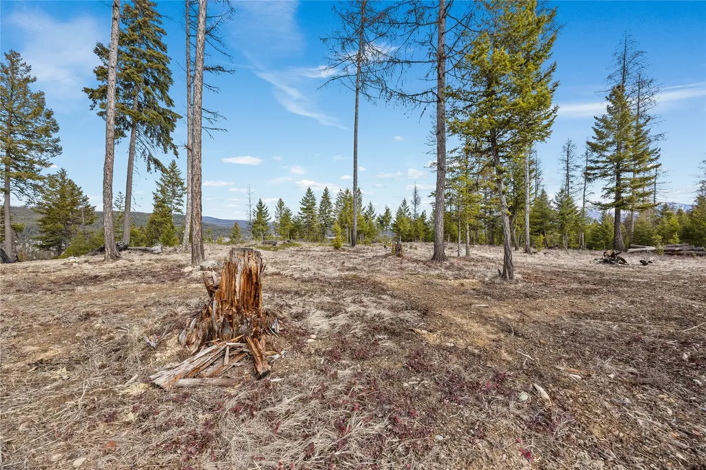 300 Burgess Road Trego MT 59934