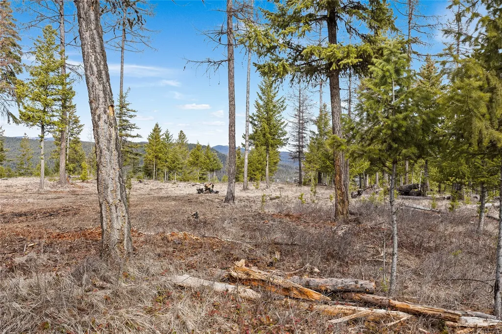 300 Burgess Road Trego MT 59934