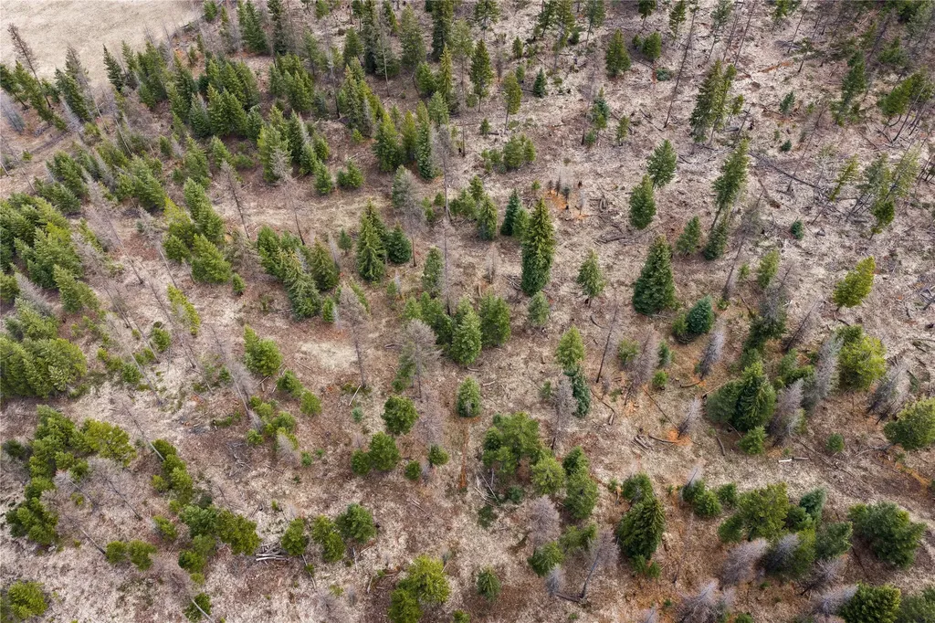 300 Burgess Road Trego MT 59934