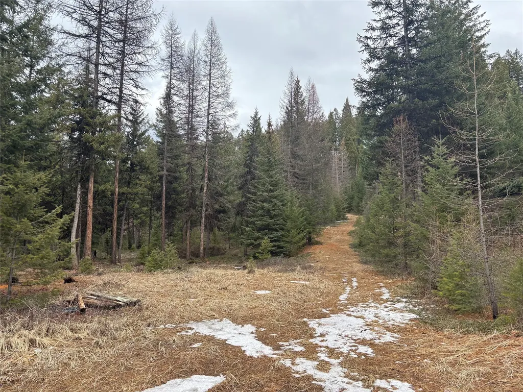 Nhn Slick Gulch Road Rexford MT 59930
