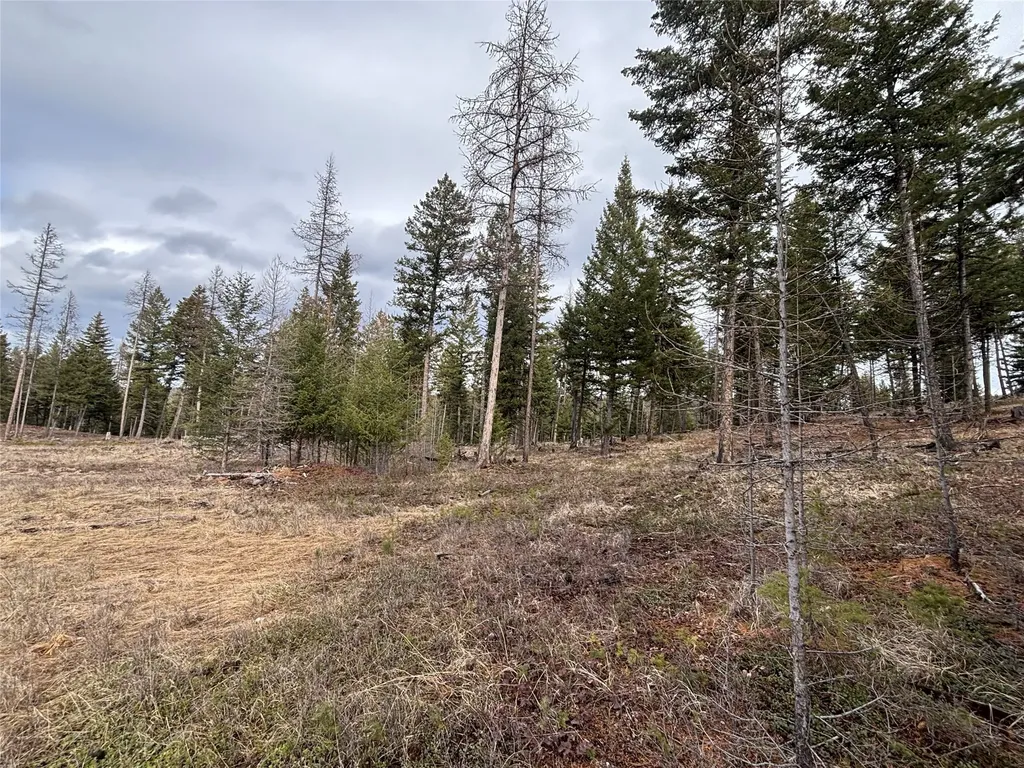 Nhn Slick Gulch Road Rexford MT 59930
