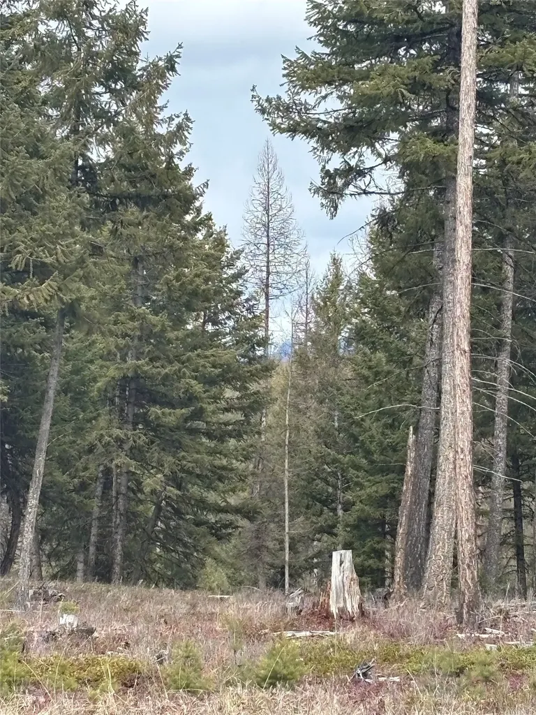 Nhn Slick Gulch Road Rexford MT 59930