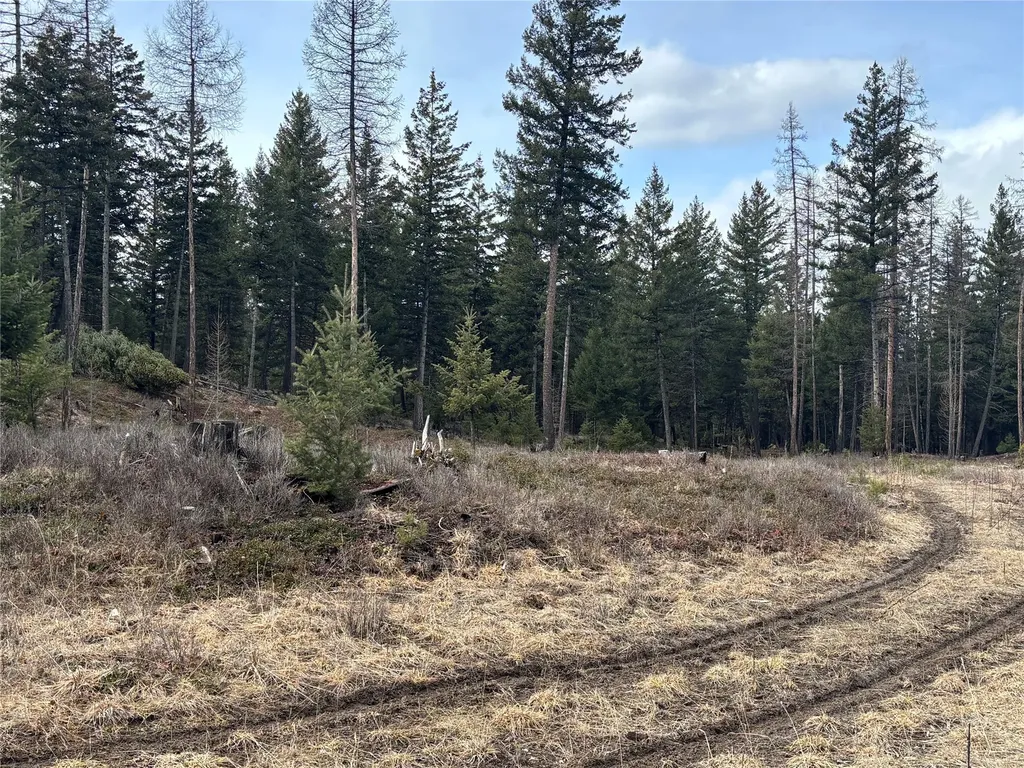 Nhn Slick Gulch Road Rexford MT 59930