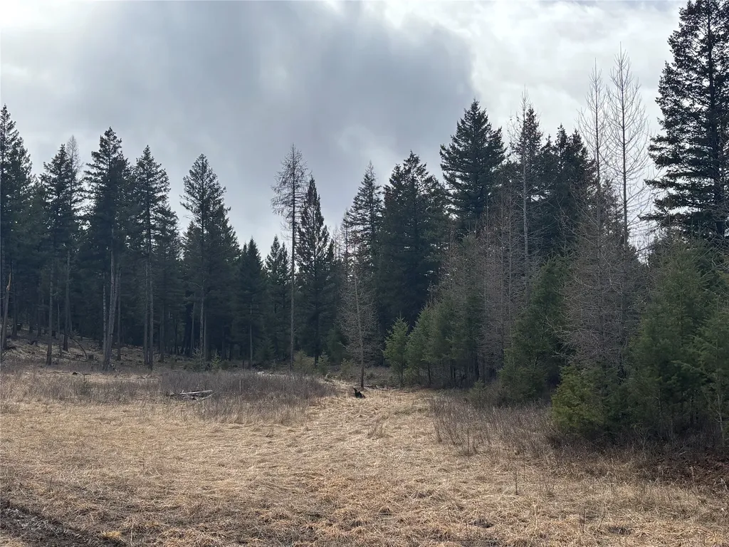 Nhn Slick Gulch Road Rexford MT 59930