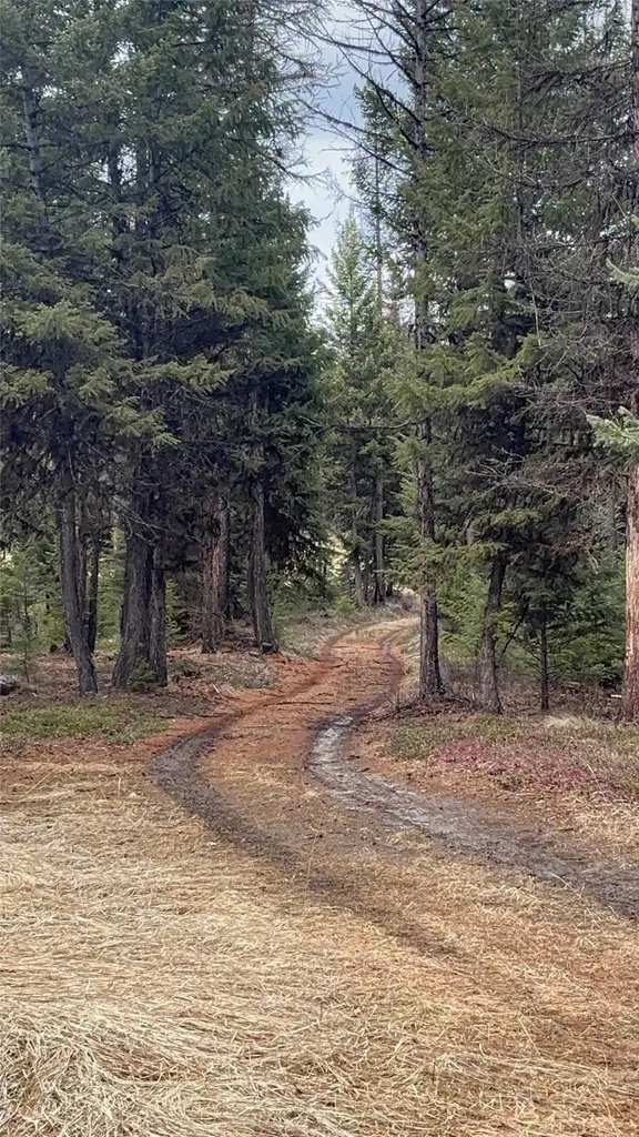 Nhn Slick Gulch Road Rexford MT 59930