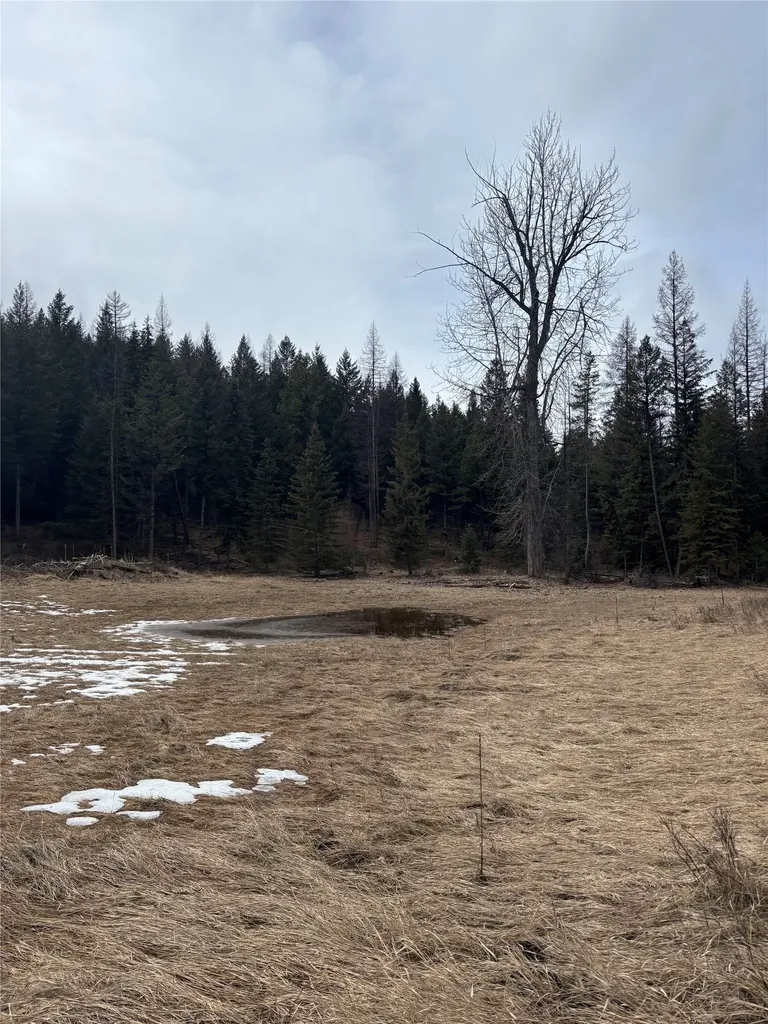 Nhn Slick Gulch Road Rexford MT 59930