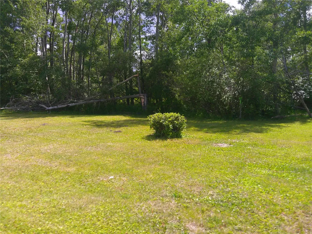 10717 Mt Highway 1 W Anaconda MT 59711