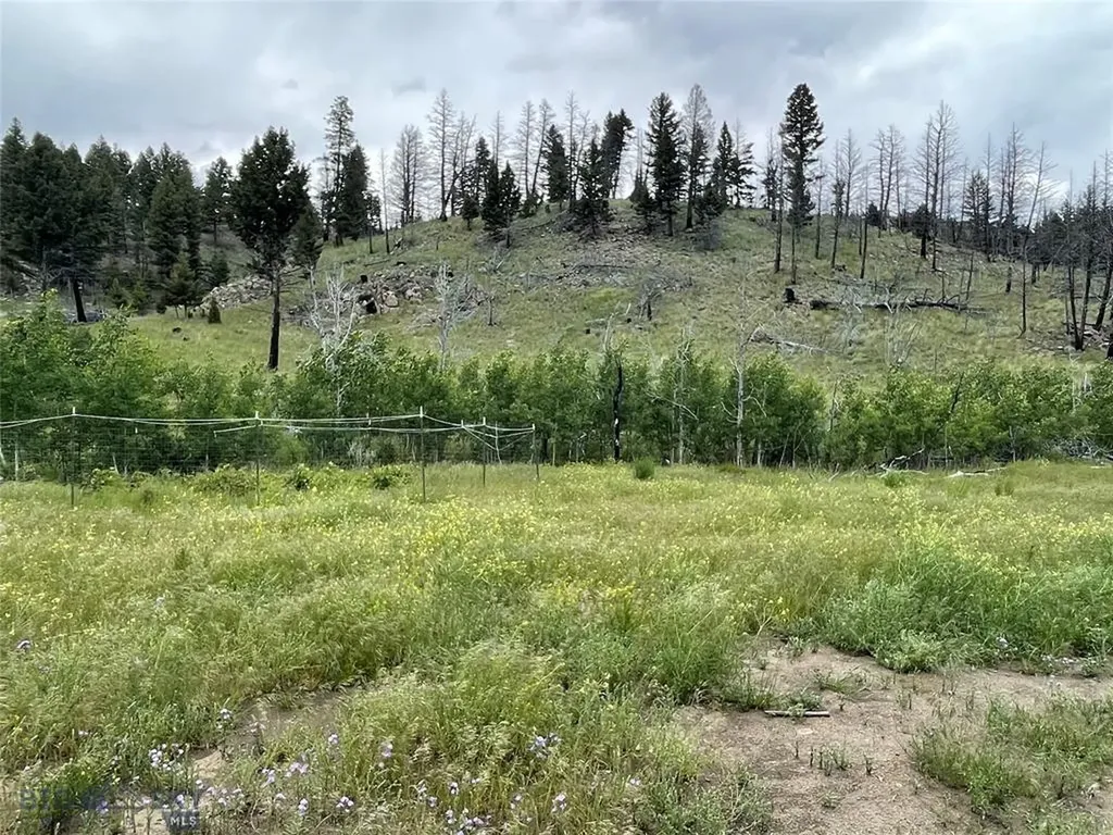 10 Miners Hill Road Whitehall MT 59759