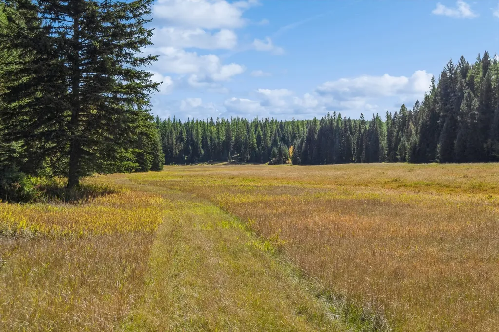 3217 Loon Lake Road Trego MT 59934