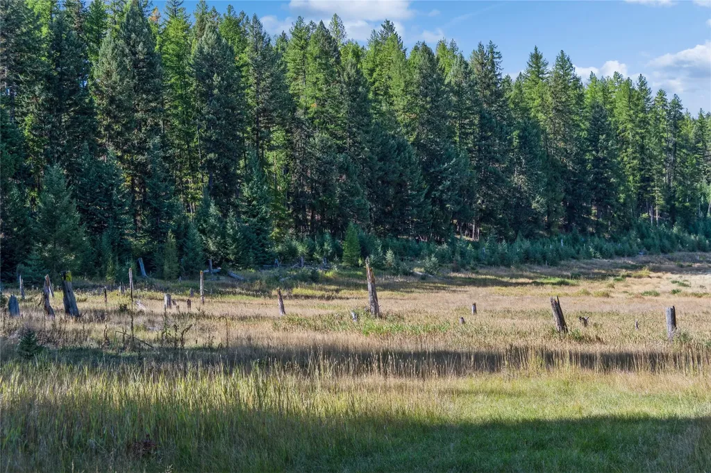 3217 Loon Lake Road Trego MT 59934